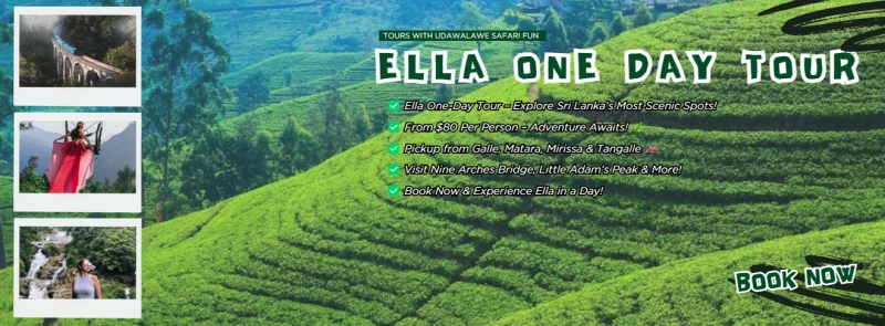 Ella One Day Tour