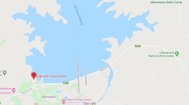 Udawalawe Elephant Transit Home location