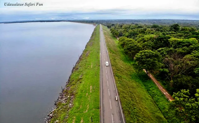 Exploring the Beauty of Udawalawe Reservoir: A Complete Guide