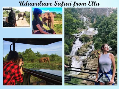 udawalawe safari from ella