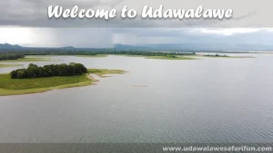 things to do in Udawalawe